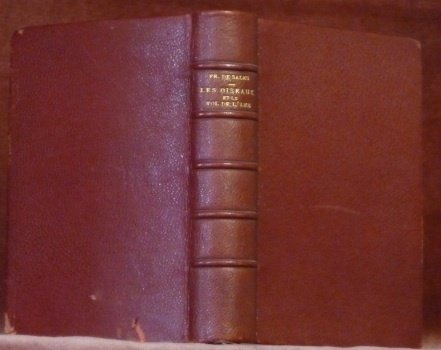 Les Oiseaux et le Vol de l’Âme. | Immagine principale