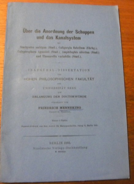 Über die Anordnung der Schuppen und das Kanalsystem. 2 Tafeln. …