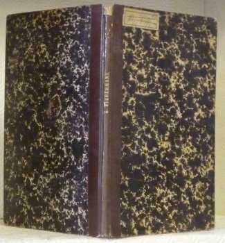 Metaphysik in ihrer Bedeutung für die Begriffswissenschaft.