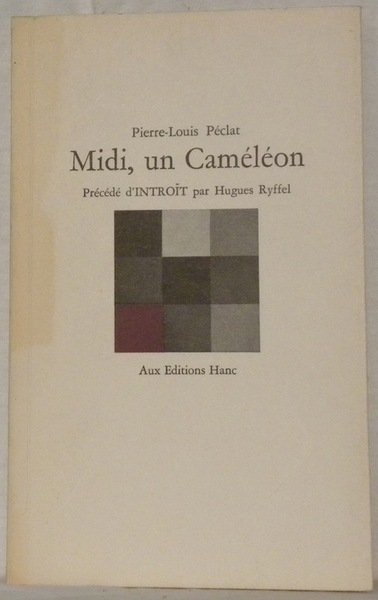 Midi, un caméléon.