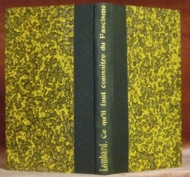 Ce qu’il faut connaître du fascisme. Origines et tendances.