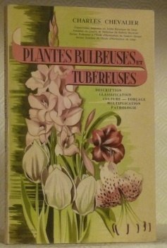 Plantes bulbeuses et tubéreuses. Descrition, classification, culture, forçage, multiplication, pathologie. | Immagine principale