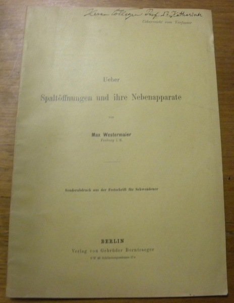 Ueber Spaltöffnungen und ihre Nebenapparate. S.A. aus der Festschrift für …