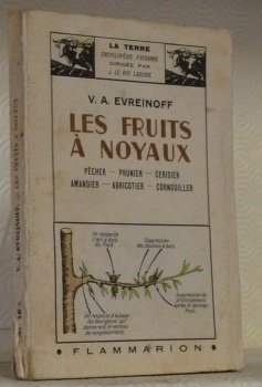 Les fruits à noyaux. Pêcher - Prunier - Cerisier - …