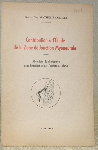 Contribution à l’étude de la Zone de Jonction Myoneurale. Altérations …