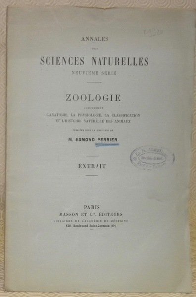 Les corps adipolymphoïdes des batraciens. Extrait de Annales des Sc. …