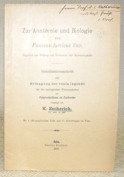 Zur Anatomie und Biologie von Paussus turcicus FRIV. Mit kith. …