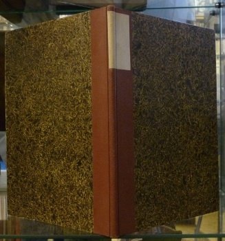Documents Assyriens relatifs aux présages. Tome premier, 1re livraison. | Immagine principale