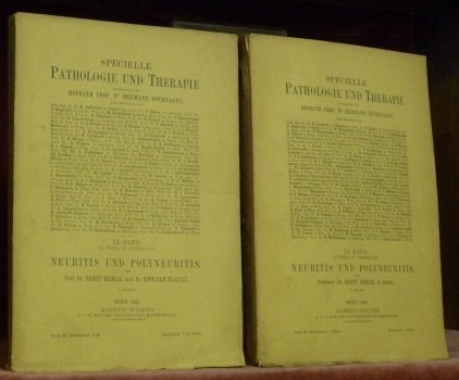 Neuritis und Polyneuritis. Von Prof. Dr. Ernst Remak in Berlin. … | Immagine principale