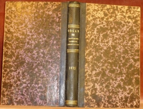 GESCHICHTE der Gesellschaft zur Beförderung des Guten und Gemeinnützigen in … | Immagine principale