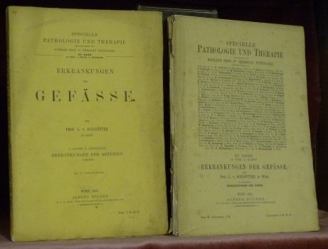 Erkrankungen der Gefässe. Von Prof. Schrötter in Wien. Specielle Pathologie … | Immagine principale