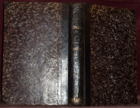 Handbuch der speciellen Pathologie und Therapie. Sechster Band. Zweite Abtheilung. … | Immagine principale