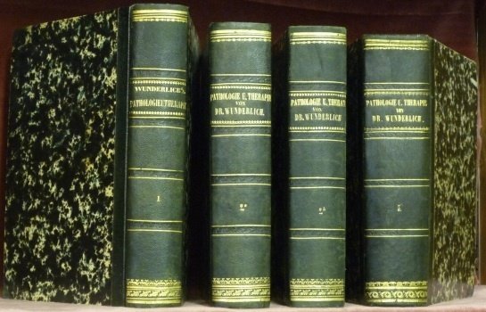 Handbuch der Pathologie und Therapie. Zwei vermehrte Auflage (in vier … | Immagine principale