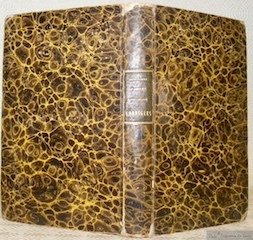 Fautes de langage corrigées ou Dialogue entre Mr P. et … | Immagine principale