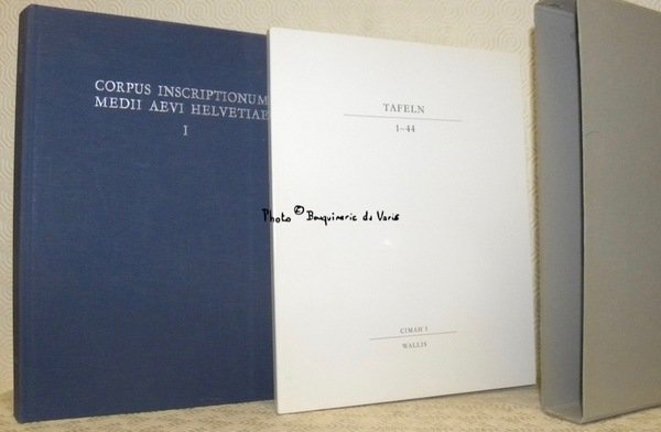 Die Inschriften des Kantons Wallis bis 1300. Mit 105 Abbildungen … | Immagine principale