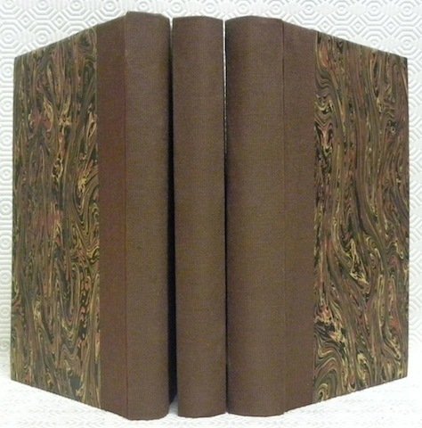 Mémoires historiques de la Ville de Bourg. Extraits des registres …