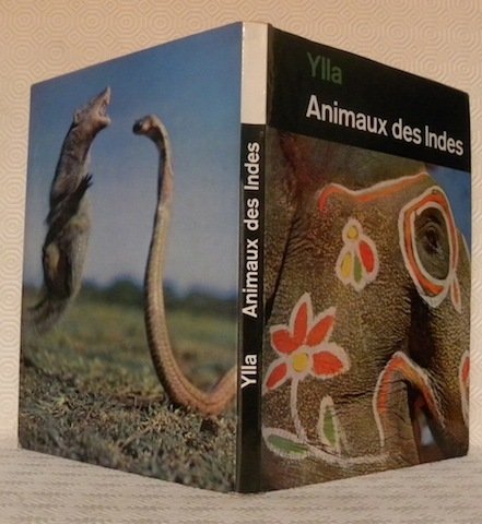 Animaux des Indes. Photographies de l’auteur.