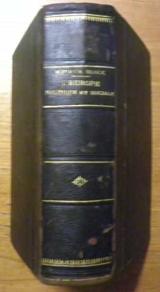 L’Europe politique et sociale. Deuxième édition, ouvrage entièrement nouveau. Avec …