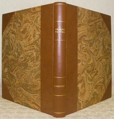 Grands fauves et autres carnassiers. Collection: Le Monde Merveilleux des …