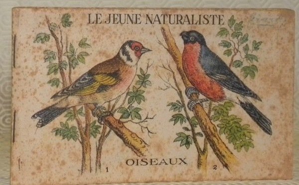 Le jeune naturaliste. Oiseaux. | Immagine principale