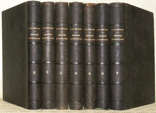 Histoire d’Espagne depuis les premiers temps historiques jusqu’à la mort … | Immagine principale