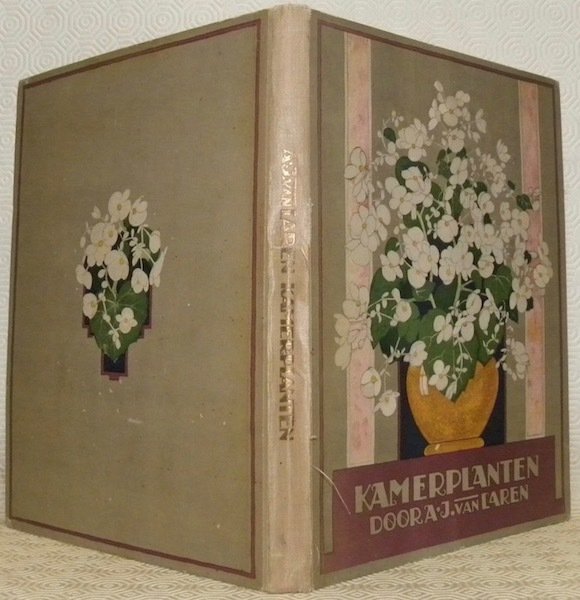 Kamerplanten. | Immagine principale