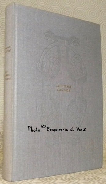 Les pierres sauvages. Roman. | Immagine principale