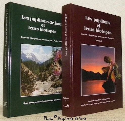 Les papillons de jour et leurs biotopes. Espèces. Dangers qui … | Immagine principale