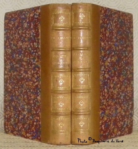 Les droits du seigneur sour la féodalité. Peuple et noblesse. … | Immagine principale