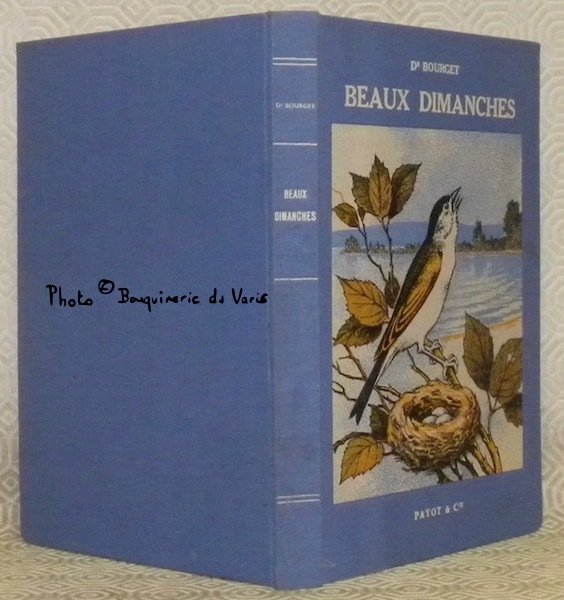 Beaux Dimanches. Observations d’Histoire Naturelle. Illustrées de croquis à la … | Immagine principale