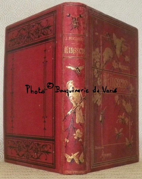 L'insecte. Nouvelle édition illustrée de 140 vignettes sur bois dessinées … | Immagine principale