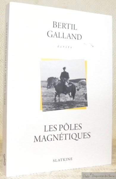 Les pôles magnétiques. | Immagine principale