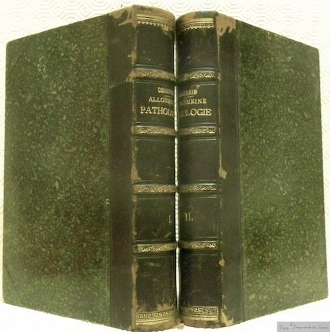 Vorlesungen über allgemeine Pathologie. Ein Handbuch für Aerzte und Studirende. …