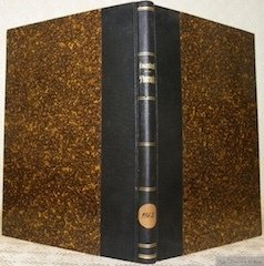 Grundlagen, Aufgaben und Grenzen der Therapie. Nebst einem Anhange: Kritik …