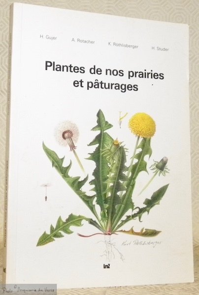 Plantes de nos prairies et pâturages. Deuxième édition.