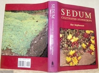 Sedum. Cultivated Stonecrops.