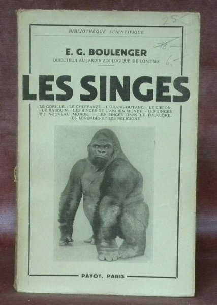 Les singes. Le gorille - le chimpanzé - l’orang-outang - …