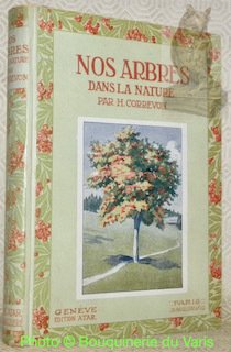 Nos arbres dans la nature. Illustré de 100 planches en … | Immagine principale