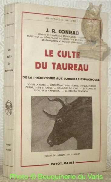 Le culte du taureau, de la préhistoire aux corridas espagnoles. … | Immagine principale