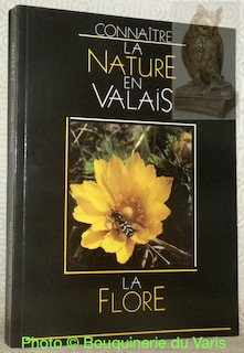La flore. Dessins de Sabine Rey et Françoise Burri. Collection Connaître la nature en Valais 2.