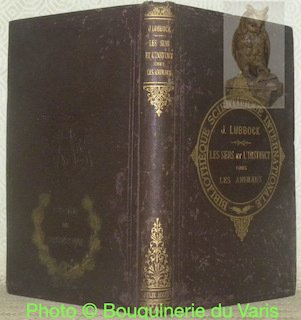 Le sens et l'instinct chez les animaux et principalement chez … | Immagine principale