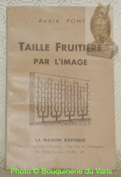 Taille fruitière par l'image. | Immagine principale