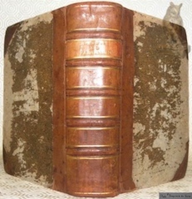 Gradus ad Parnassum, sive Novus Synonymorum, Epithetorum, Phrasium Poeticarum ac … | Immagine Gallery 2