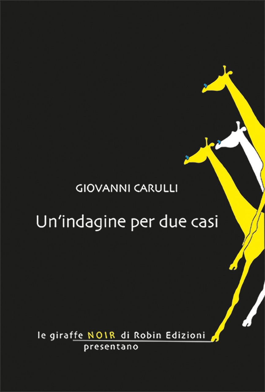 Un'indagine per due casi | Immagine principale