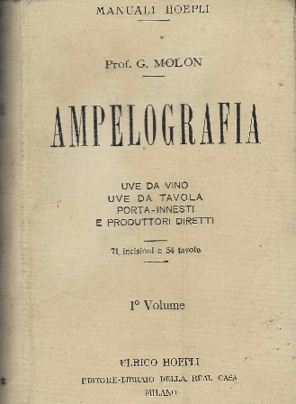 Ampelografia