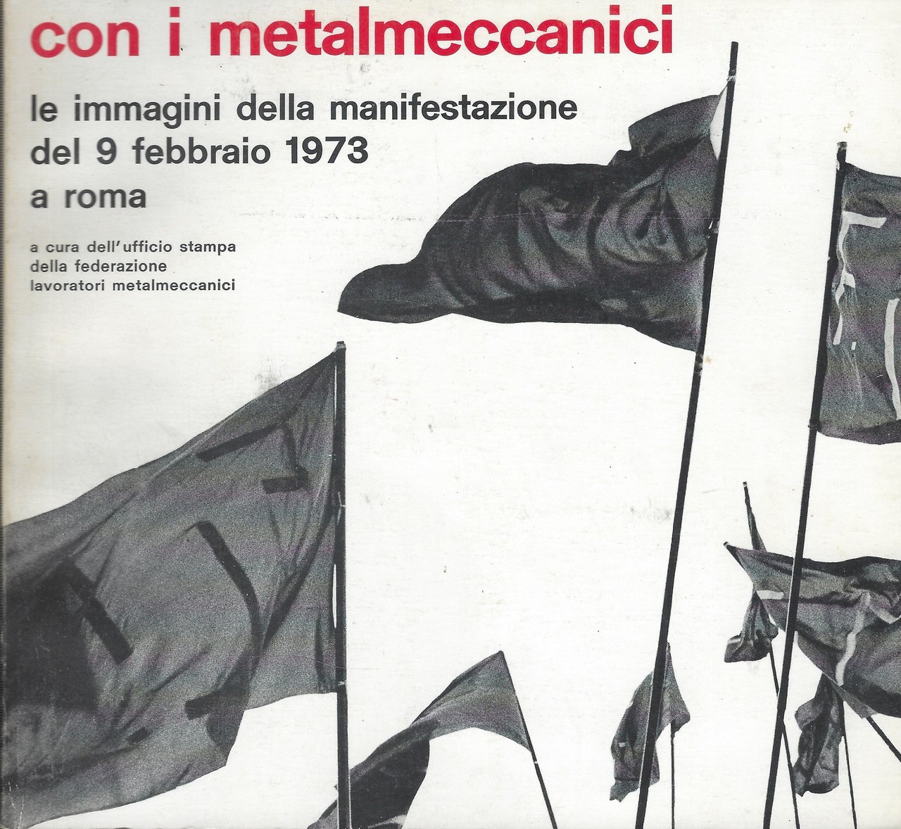 Con I Metalmeccanici : Le Immagini Della Manifestazione Del 9 …