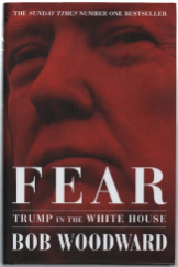 Fear. Trump In The White House