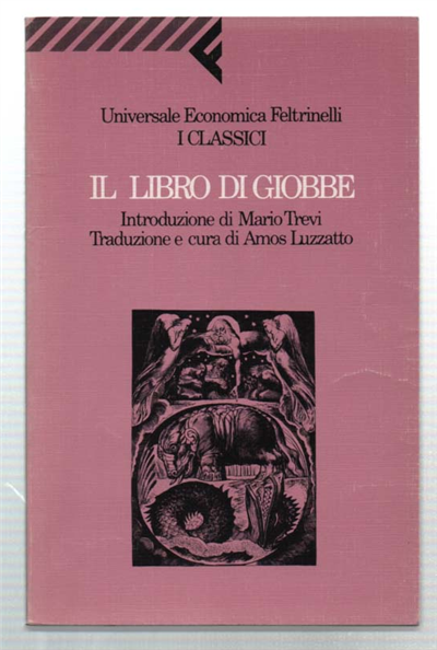 Il Libro Di Giobbe