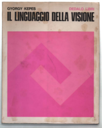 Il Linguaggio Della Visione