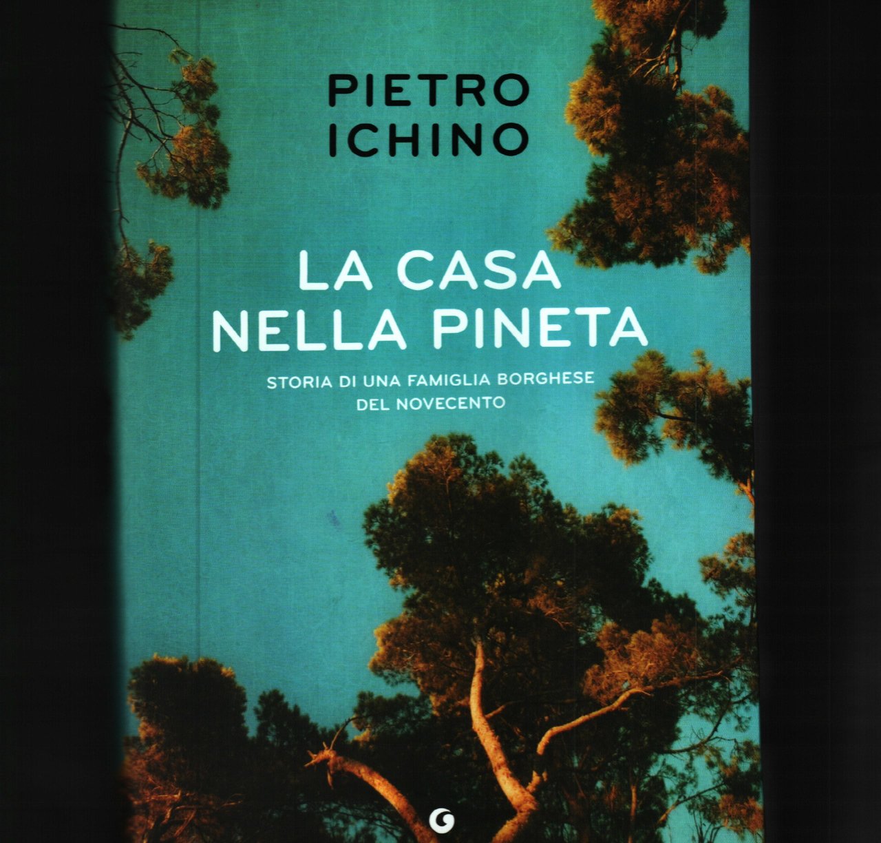 La casa nella pineta | Immagine principale